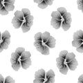 Seamless wild floral pattern with nasturtium. Gray hibiscus flowers on white background. Botanical Motifs scattered random.